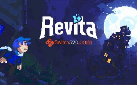 [Switch]轮回塔 Revita