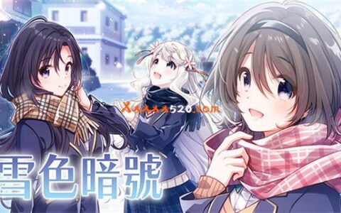 [Switch]雪色暗号官方中文本体+1.0.1升补NSZ原版