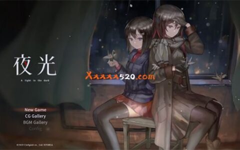 [Switch]夜光 A Light in the Dark
