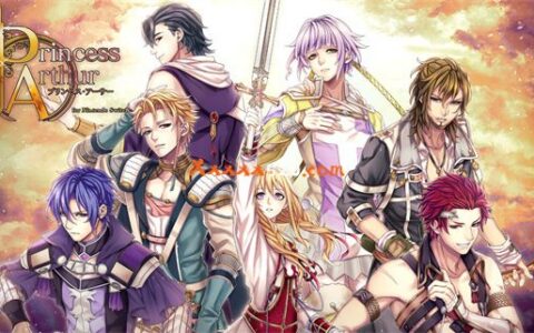 [Switch]亚瑟公主 Princess Arthur