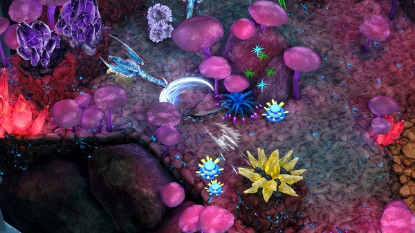 [Switch]驯龙高手 九界龙族传说 Dragons, Legends of The Nine R