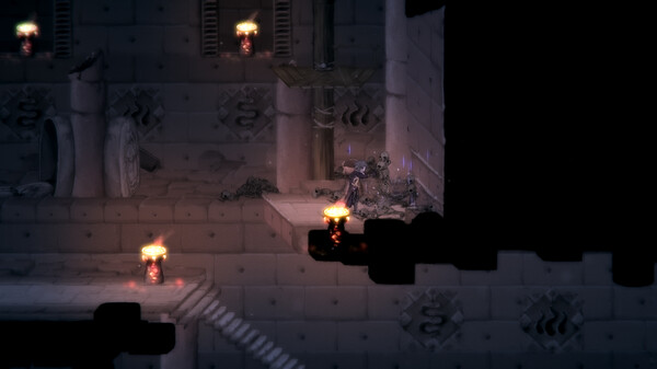 [Switch]盐与献祭 Salt and Sacrifice