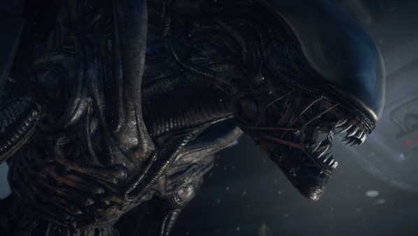 [Switch]异形 隔离汉化中文本体+1.1.5_64113补丁NSZ原版