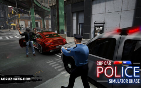 [Switch]警车驾驶员 城市停车模拟器 Police Car Driv