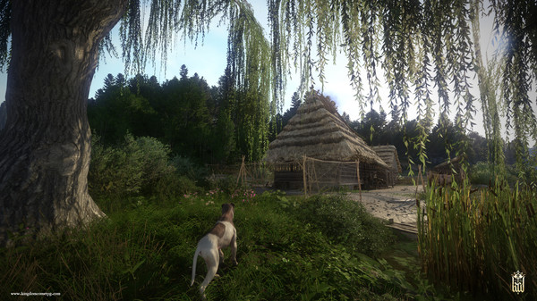 [Switch]天国 拯救 皇家版 Kingdom Come Deliverance