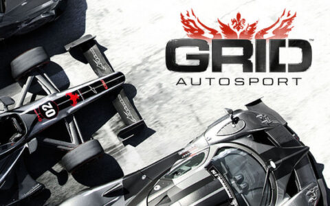 [Switch]超级房车赛 汽车运动 GRID Autosport