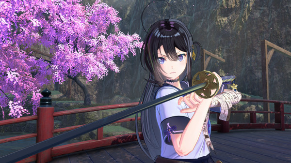 [Switch]武士少女 Samurai Maiden