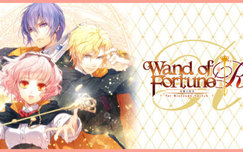 [Switch]幸运之杖R Wand of Fortune R