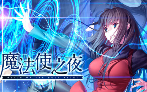 [Switch]魔法使之夜官方中文本体+1.0.3升补+字体MODNSP原版