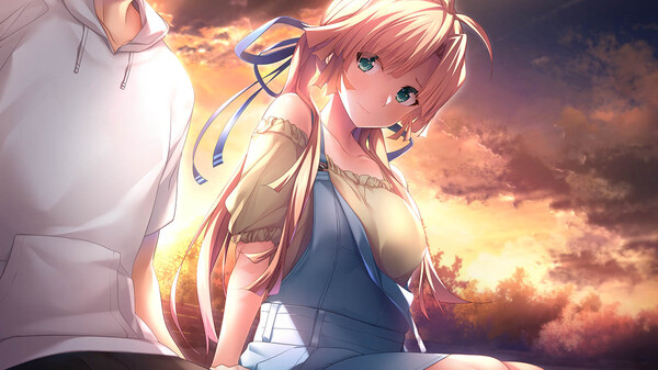 [Switch]甜蜜夏日 Perfect Edition官方中文NSZ