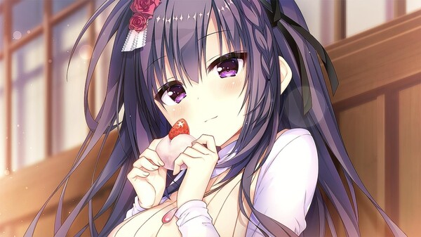 [Switch]天选庶民的真命之选官方中文NSP原版