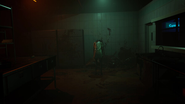 [Switch]女鬼桥2 释魂路 The Bridge Curse 2 The Extrication