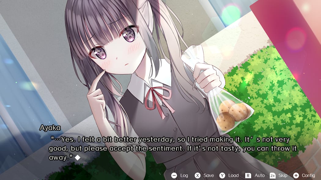[Switch]在时光彼端思念你 Thinking of You Beyond Time官方中文NSZ原版