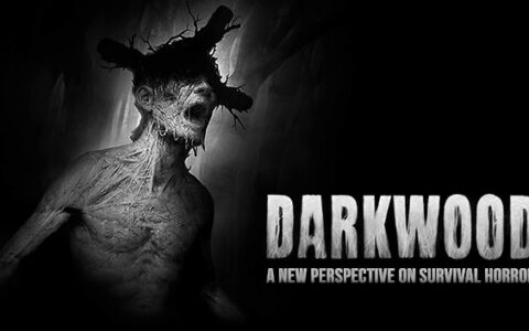 [Switch]黑暗森林 Darkwood官方中文NSZ原版