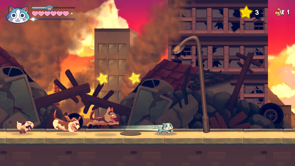 [Switch]超级肌肉猫 KinnikuNeko SUPER MUSCLE CAT官方中文本体+1.0.5升补NSZ原版