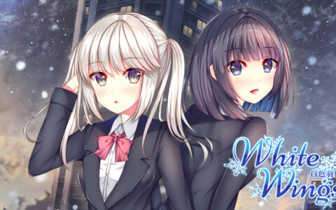 [Switch]白色之翼官方中文本体+1.0.2升补NSZ原版