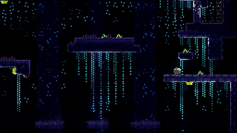 [Switch]动物井 ANIMAL WELL