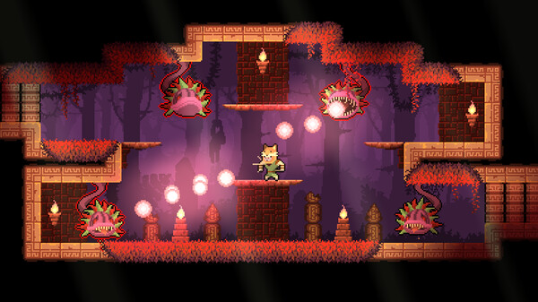 [Switch]护林猿神 Dunjungle官方中文本体+0.99升补NSZ
