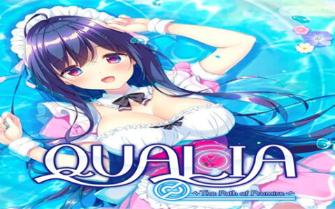 [Switch]约定的轨迹 QUALIA