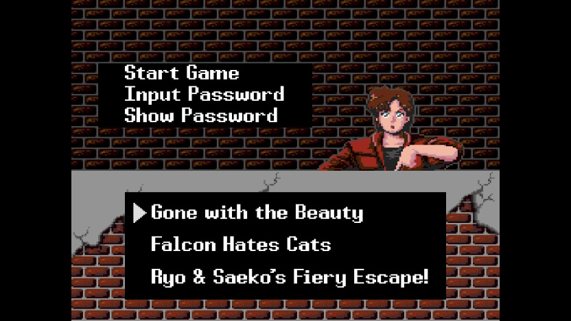 [Switch]城市猎人 City Hunter官方中文本体+1.0.10升补NSZ