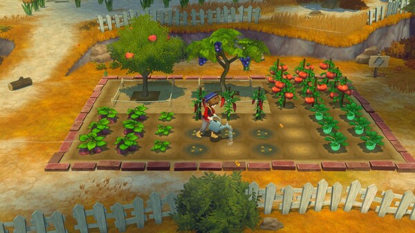 [Switch]牧场物语风之繁华集市官方中文本体+1.5.0升补+11DLCNSP